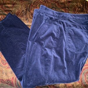 Talbots size 20 Curvy Jeggings can go just about anywhere in cold weather!